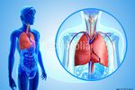 © pixdesign123_Fotolia.com