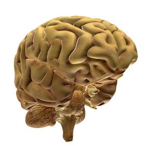 &copy; Deminos_Fotolia.com